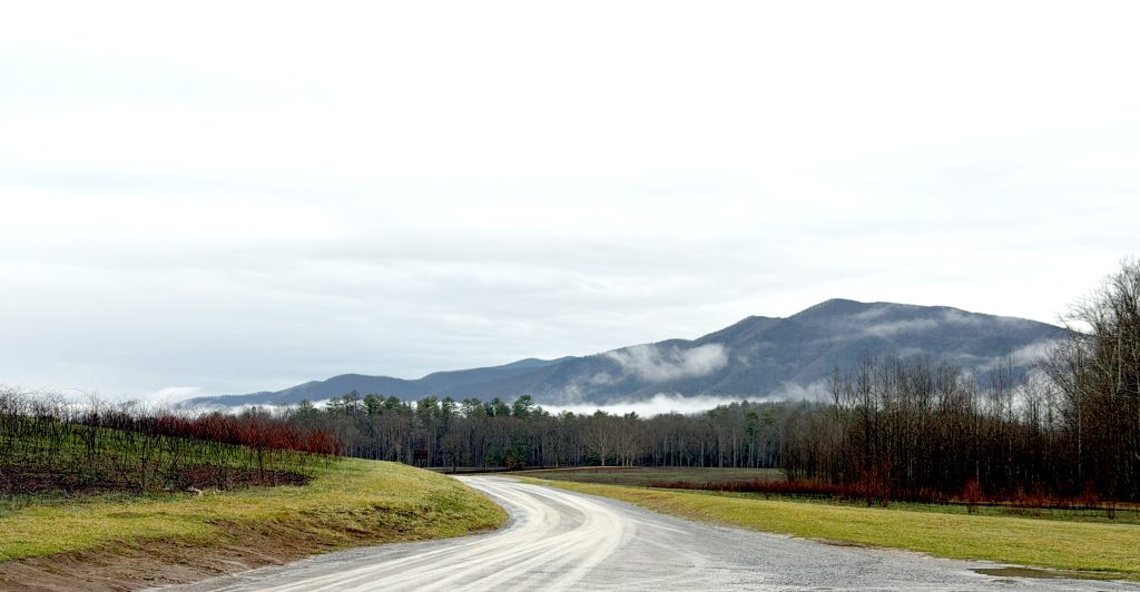 Image of the Smoky Mountains from Cades Cove.