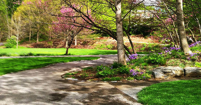 Spring photo of the Jimmy Neil Smith Park